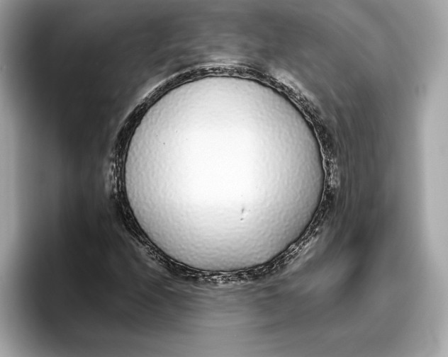 X0000096651208200802261313