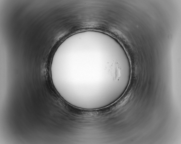 X0000096651210200802261313