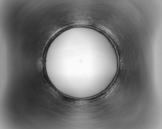 X0000096651212200802261313