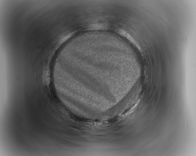 X0000096651213200802261313