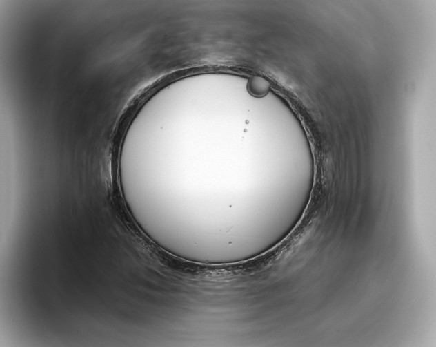 X0000096651214200802261313