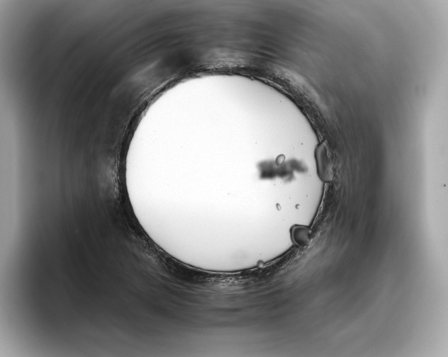 X0000096651217200802261313