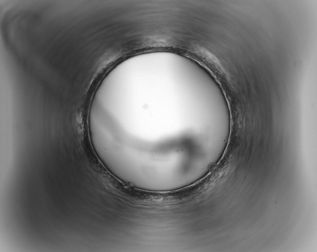 X0000096651218200802261313