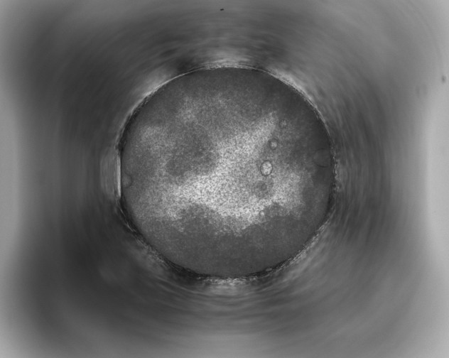 X0000096651219200802261313