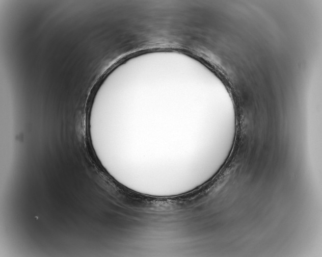 X0000096651220200802261313