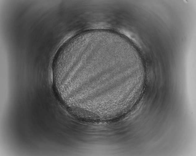 X0000096651221200802261313