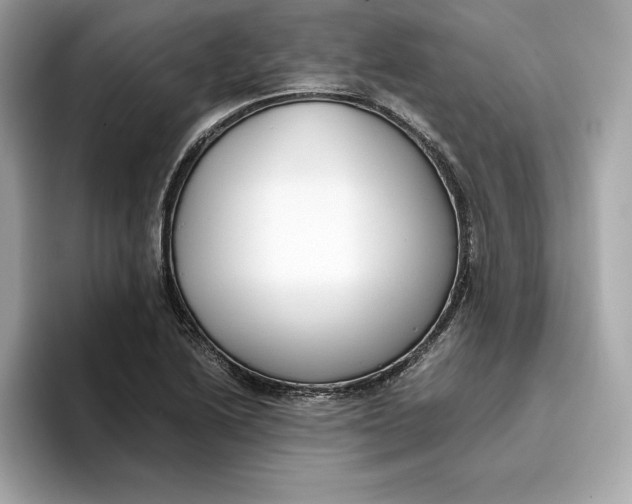 X0000096651222200802261313