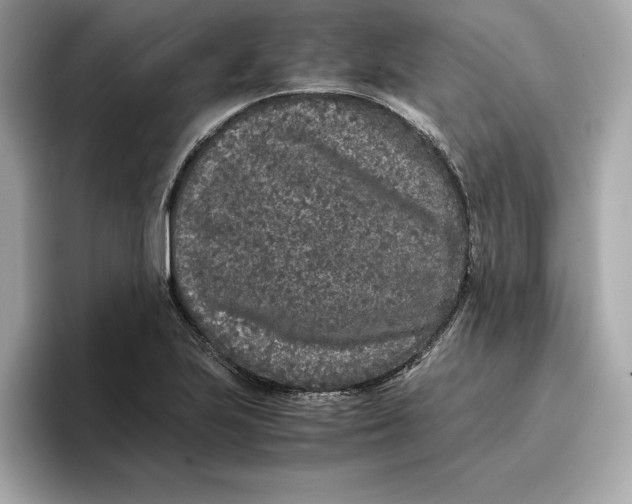 X0000096651223200802261313