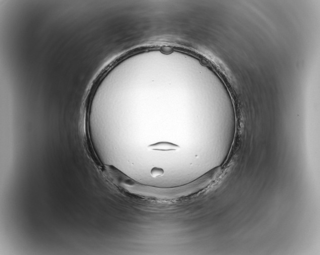 X0000096651224200802261313