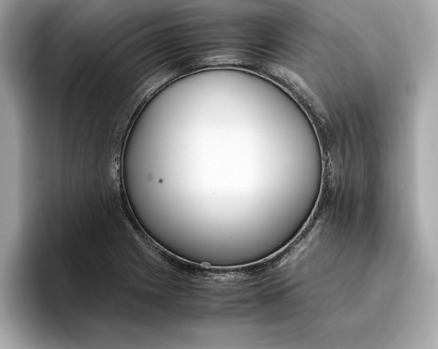 X0000096651225200802261313