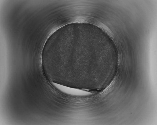 X0000096651226200802261313