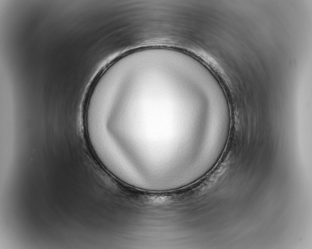 X0000096651230200802261313