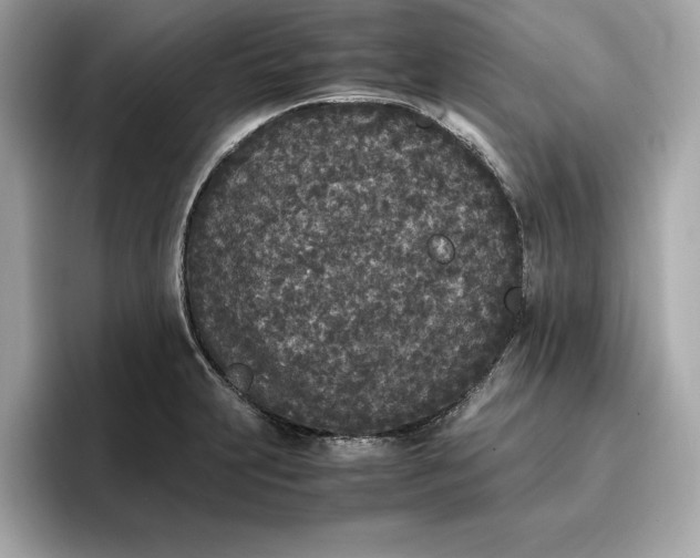 X0000096651231200802261313