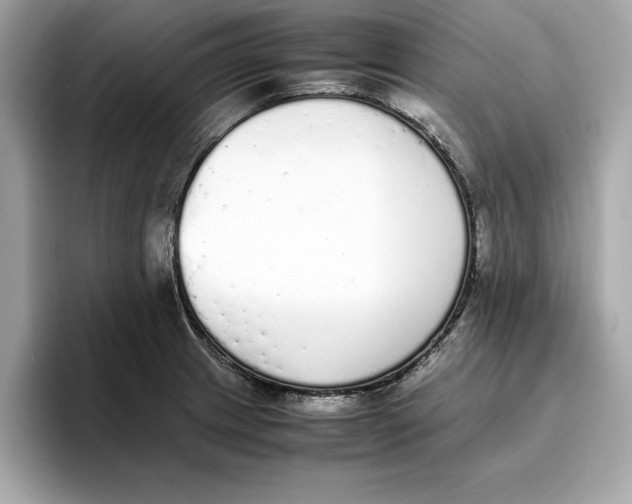 X0000096651233200802261313