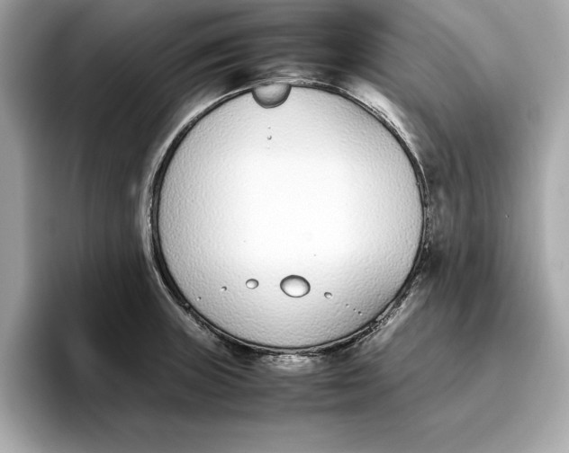 X0000096651235200802261313