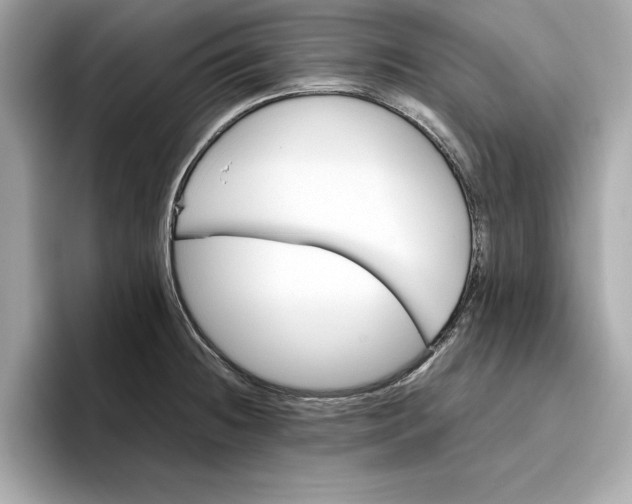 X0000096651236200802261313