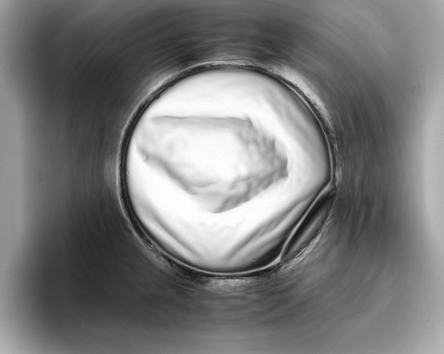 X0000096651237200802261313