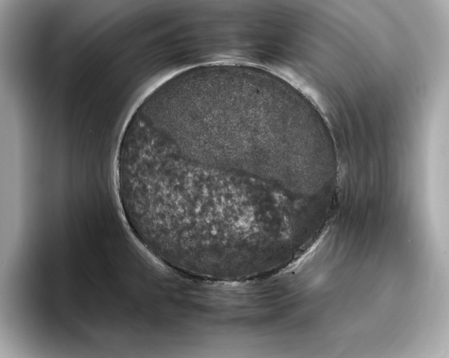 X0000096651239200802261313