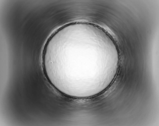 X0000096651240200802261313