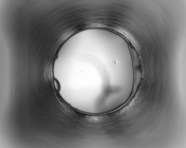 X0000096651241200802261313