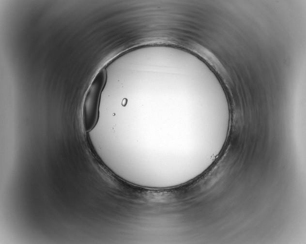 X0000096651242200802261313