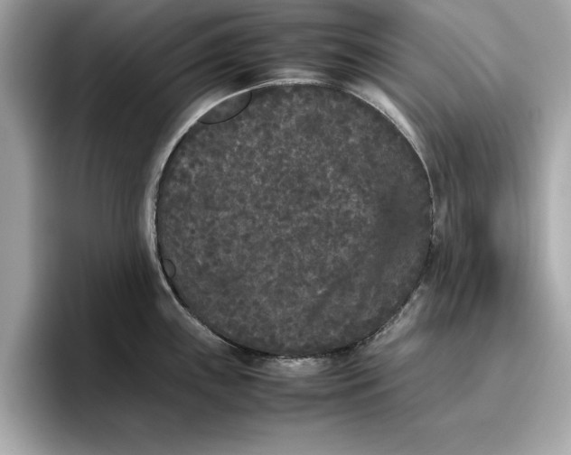 X0000096651243200802261313