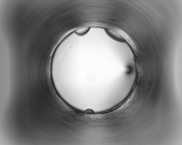 X0000096651244200802261313