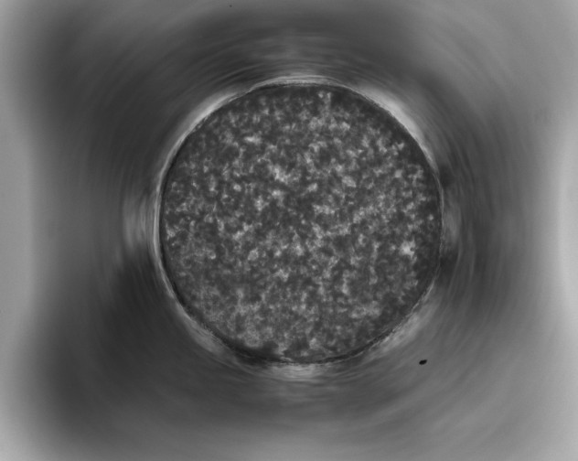 X0000096651245200802261313