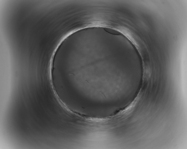 X0000096651246200802261313