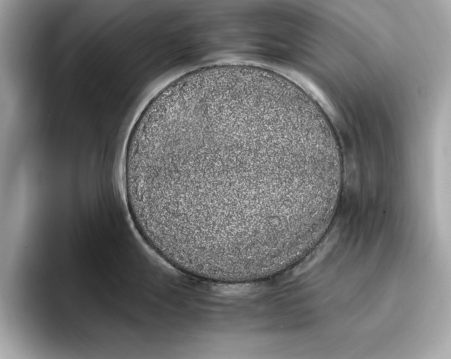 X0000096651247200802261313