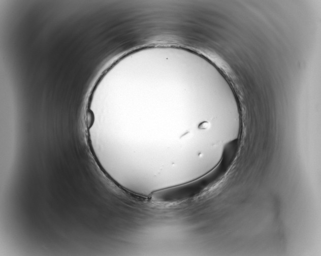 X0000096651248200802261313