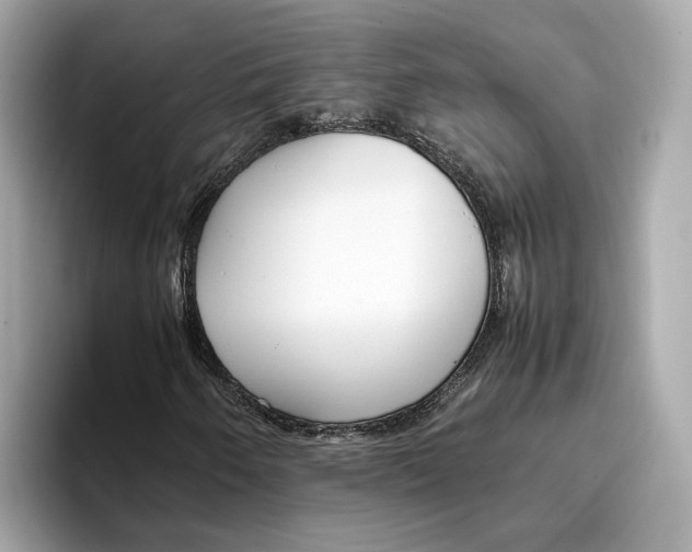 X0000096651250200802261313