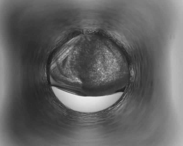 X0000096651252200802261313