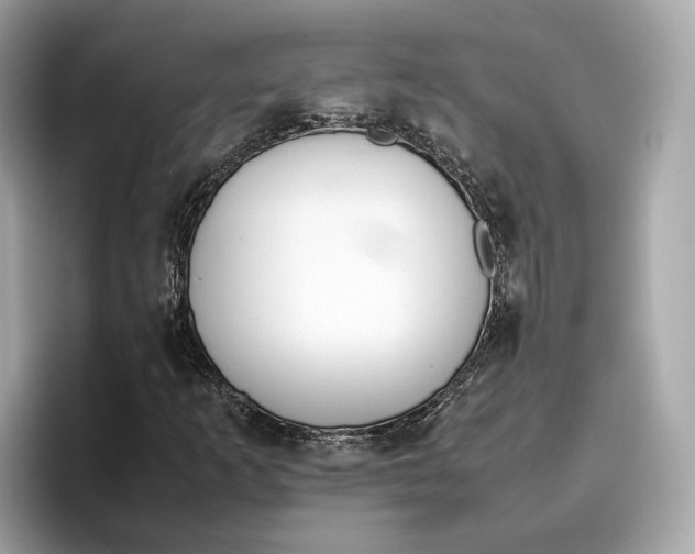 X0000096651253200802261313