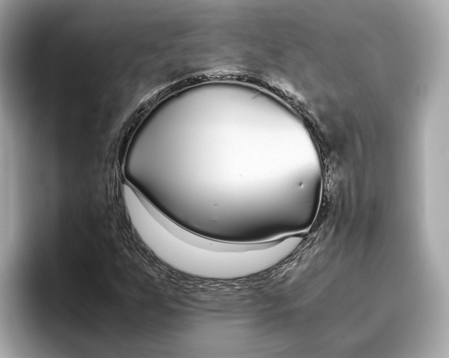 X0000096651255200802261313