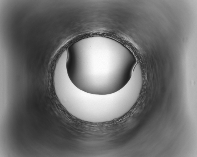 X0000096651256200802261313