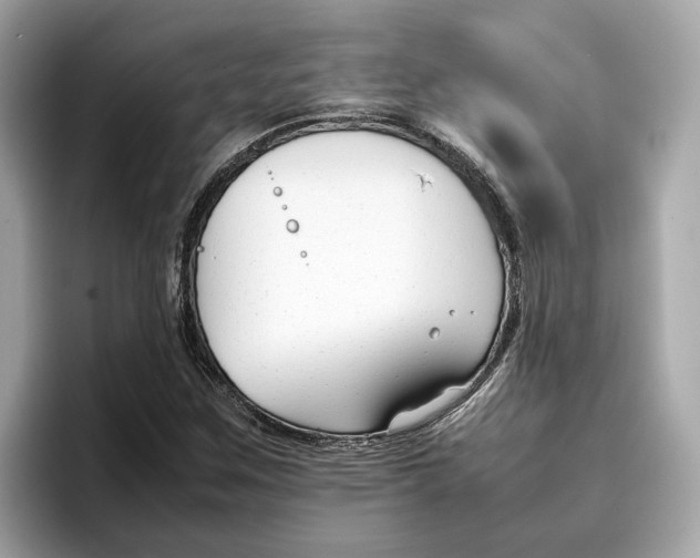 X0000096651259200802261313