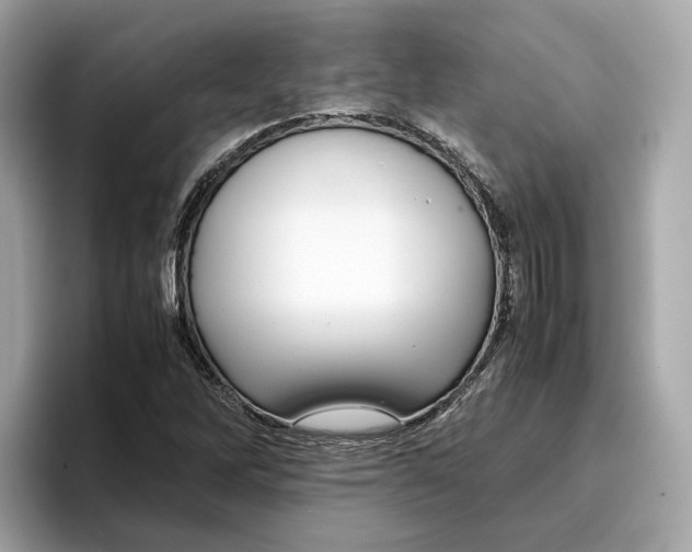 X0000096651262200802261312