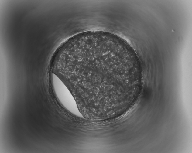 X0000096651263200802261312