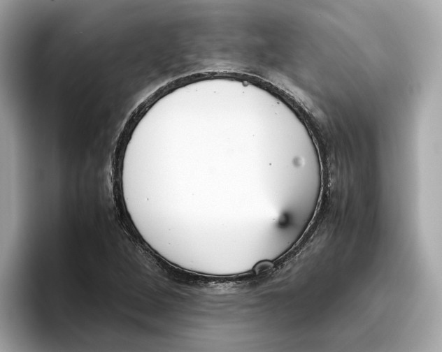 X0000096651264200802261312