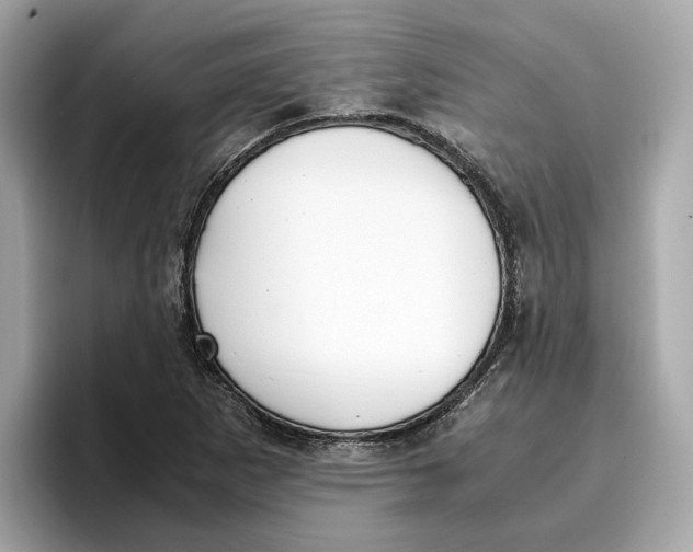 X0000096651265200802261312