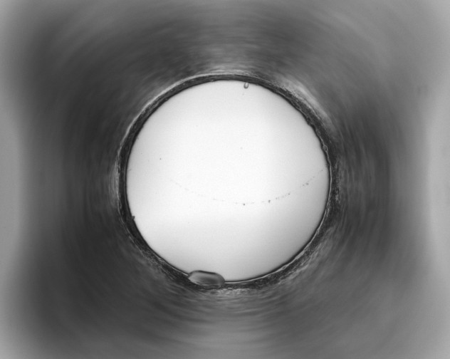 X0000096651268200802261312