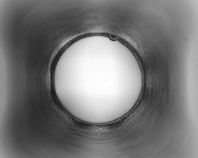 X0000096651270200802261312