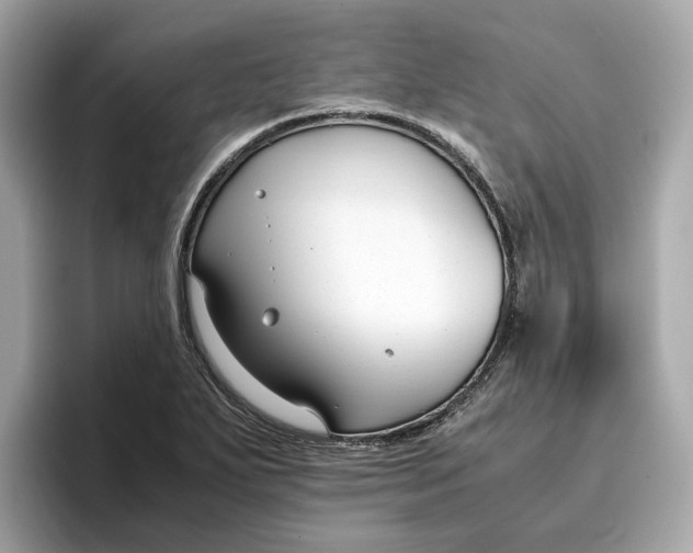 X0000096651271200802261312