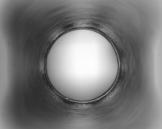 X0000096651273200802261312