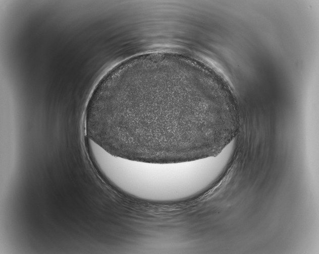 X0000096651275200802261312