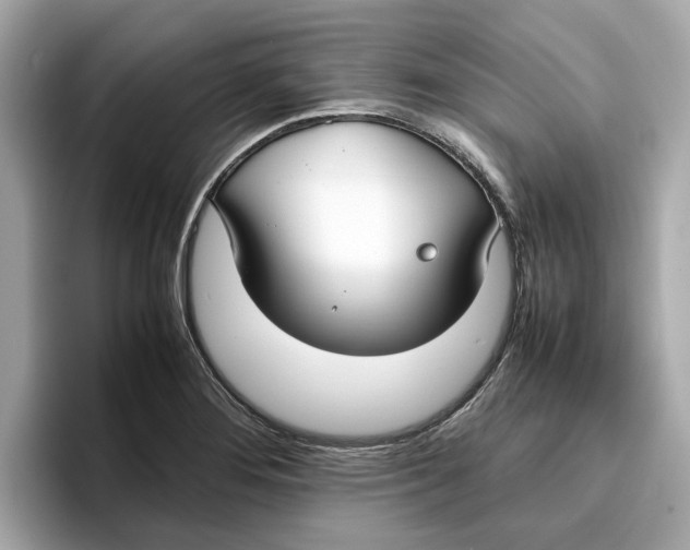 X0000096651276200802261312