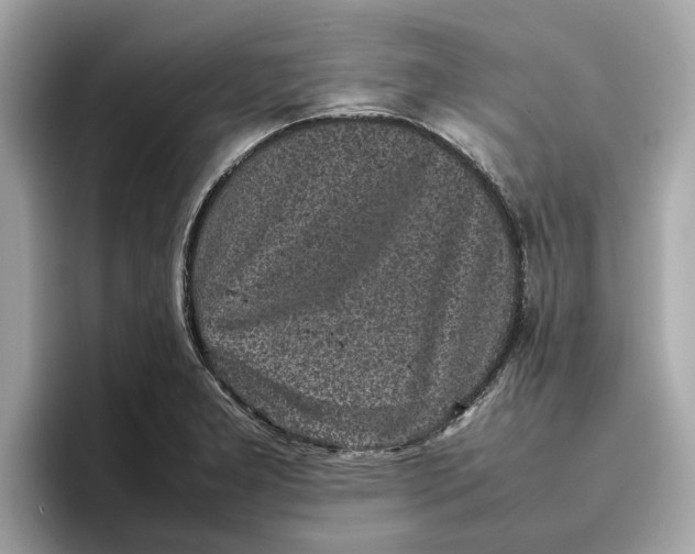 X0000096651277200802261312