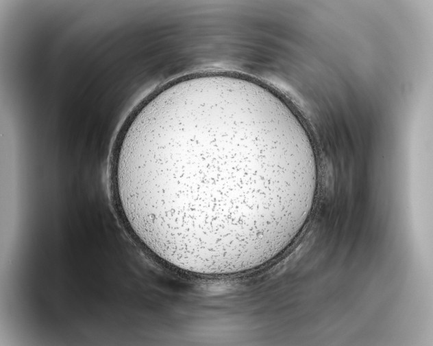 X0000096651278200802261312