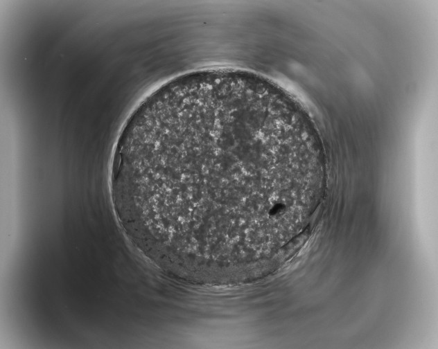 X0000096651279200802261312